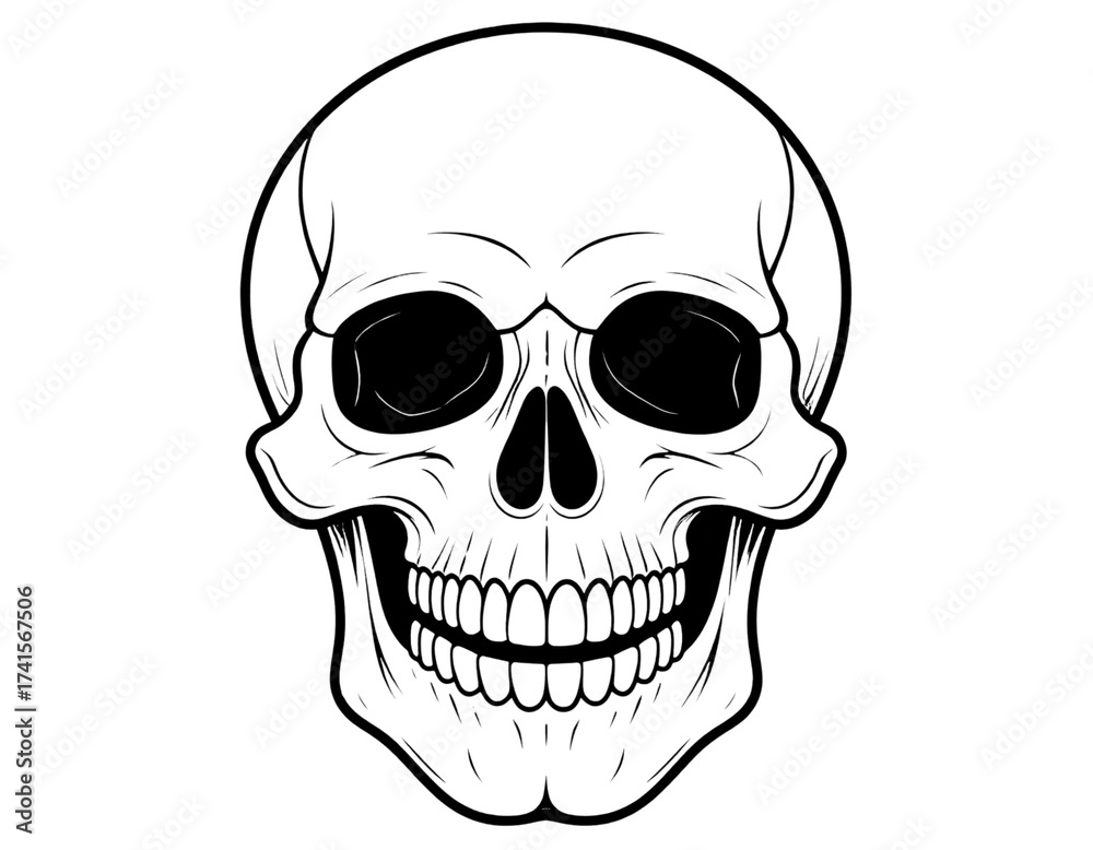 Fototapeta premium skull and crossbones