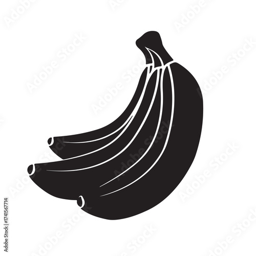 Fruit vector  design 