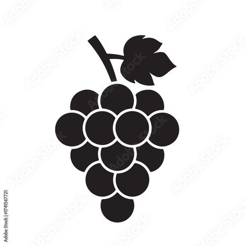 Fruit vector  design 