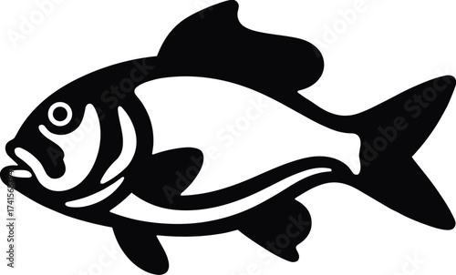 Fish silhouette design on white background