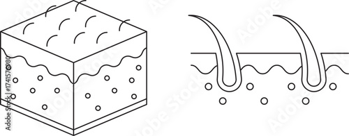Skin icon symbol diagram vector illustration.