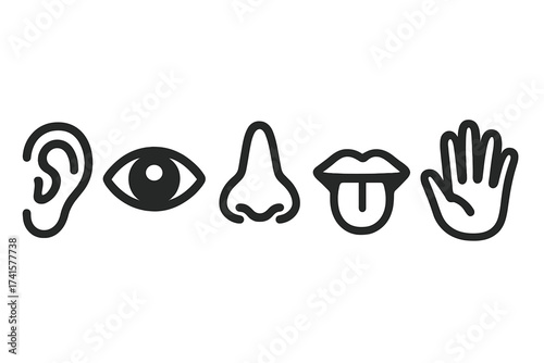 Five senses vector icon set. Symbols for hearing, sight, smell, taste, touch. Ear, eye, nose, mouth, hand illustration. Human sensory perception outline icons collection.
