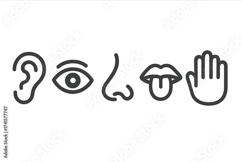 Five senses icons. Vector line art set with eye, ear, nose, tongue, hand. Sensory perception symbols for sight, hearing, smell, taste, touch. Minimalist outline illustration.