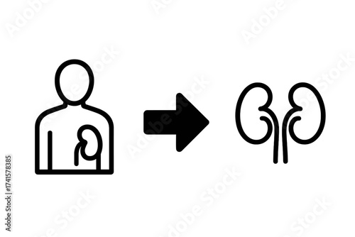 Kidney donor icon. Organ donation vector symbol. Living person donating a kidney for transplant surgery. Medical, health care, urology, charity, and awareness illustration.