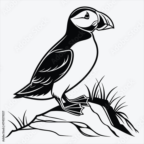 Puffin line art White background illustration Generative Ai