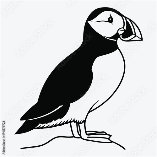Puffin line art White background illustration Generative Ai