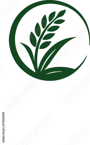 Green cannabis leaf vector illustration of a plant isolated on white background