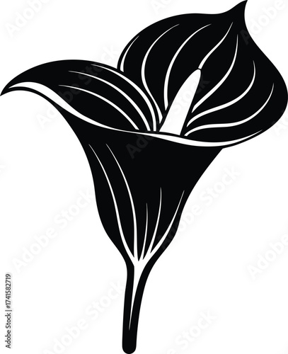 Abstract gradient swirls flowing energy luminescence soft color transition isolated on transparent background