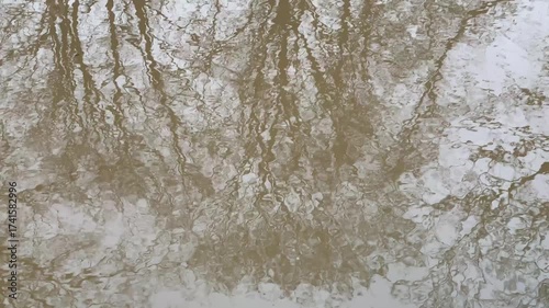 Wallpaper Mural abstract background reflection of trees in running water. High quality FullHD footage Torontodigital.ca