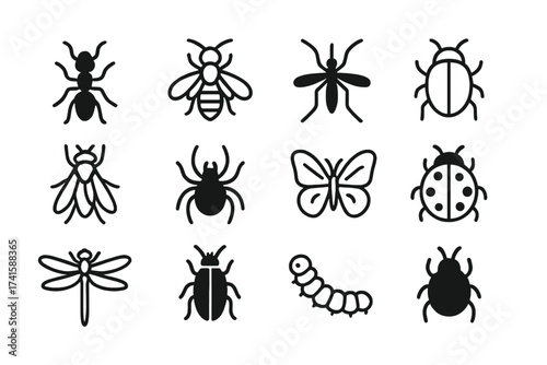 Insect icon set. Big collection of bug symbols like ant, bee, mosquito, spider, butterfly, ladybug, fly, caterpillar. Minimal solid glyph and outline vector illustration.