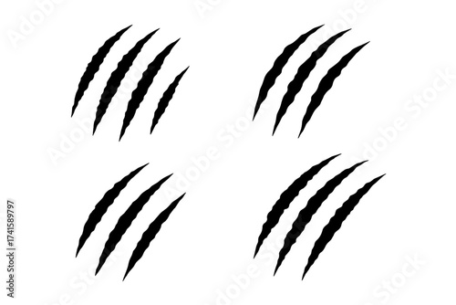 Claw scratches vector set. Animal claw marks illustration. Tiger, bear, lion, or monster attack slash signs. Predator signs isolated. Wild animal rip, tear, damage texture.
