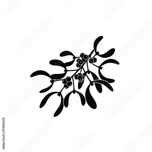 Christmas Opening Silhouette Of Mistletoe With Berries - Black And White Illustration