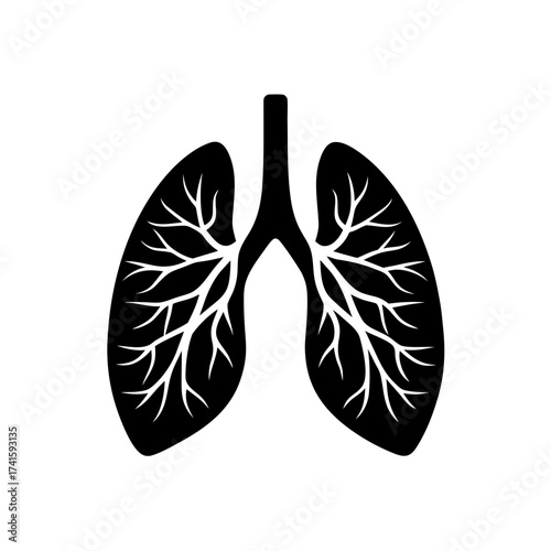 Silhouette illustration of human lungs on transparent background