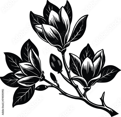 Abstract swirling nebula sky with cosmic dust particles and starry expanse isolated on transparent background