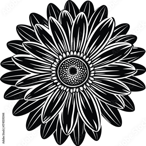 Abstract art with dynamic color swirls and energetic light trails isolated on transparent background