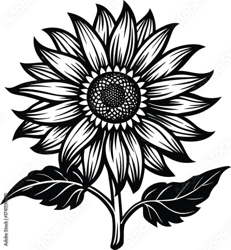 Abstract gradient swirl of cosmic colors evokes nebula and starlight patterns isolated on transparent background