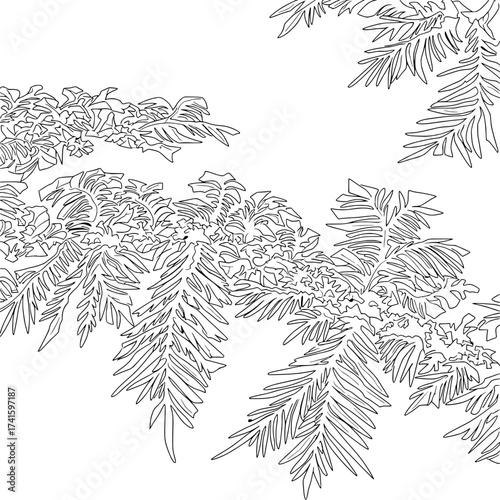 Floral Symphony: Delicate black and white line drawing, elegantly portraying the intricate design of a fern frond, inviting contemplation of nature's artistry and botanical detail.