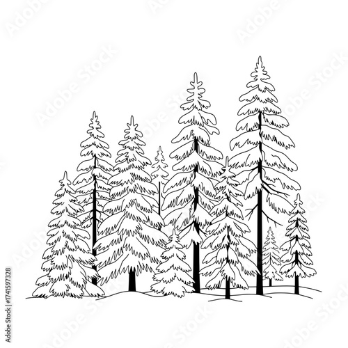 Winter Pine Forest Silhouette: A stark monochrome illustration of towering pine trees blanketed in snow, evoking the serenity and stillness of a winter landscape.