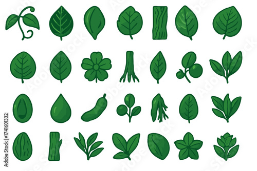 Various green leaves and plants showcasing a range of shapes and textures in a simple and clear design suitable for various uses