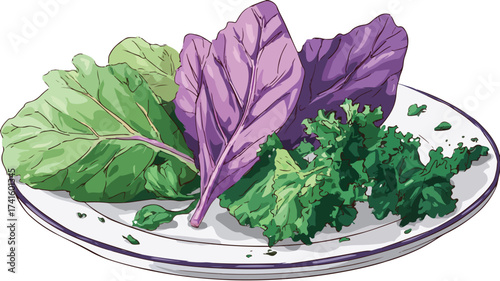 Fresh Plate of Colorful Vegetables with Purple Leaf and Green Background