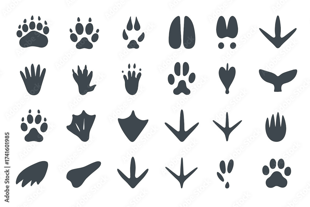Fototapeta premium Collection of animal tracks and prints displayed in various shapes and sizes for educational purposes