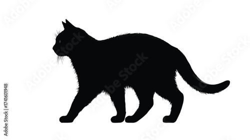 Elegant Black Cat Silhouette in Graceful Stance