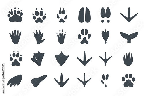 Collection of animal tracks and prints displayed in various shapes and sizes for educational purposes