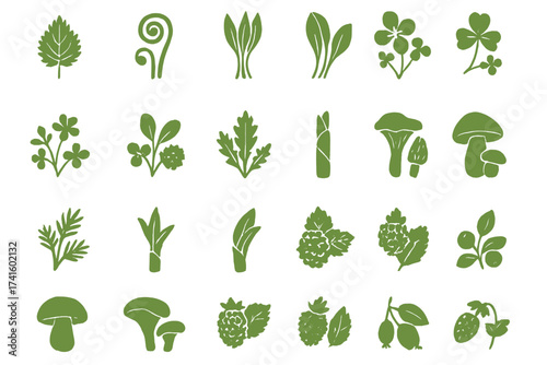 Variety of green plants and herbs displayed in simple illustrations for natural inspiration