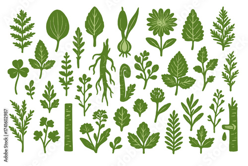 Collection of various green herbs and plants arranged in an artistic pattern showcasing their diverse shapes and sizes