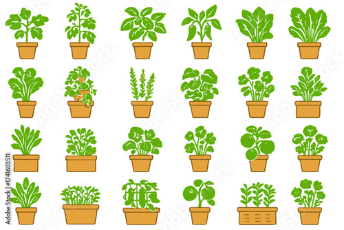 Various indoor plants in pots arranged in a grid showing different types of greenery for home decoration