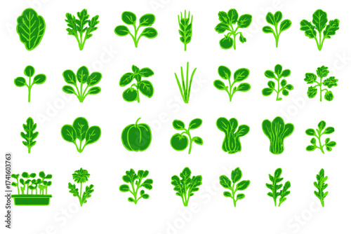 Variety of fresh green vegetables and herbs arranged visually on a simple white background