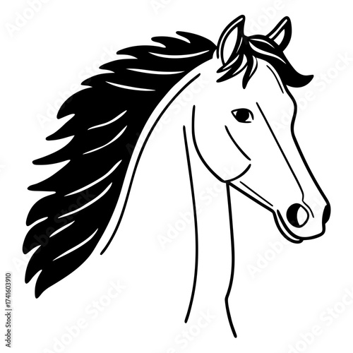 The black and white profile of the horse, elegant lines convey grace and strength, and the flowing magnificent mane adds dynamics and freedom.
