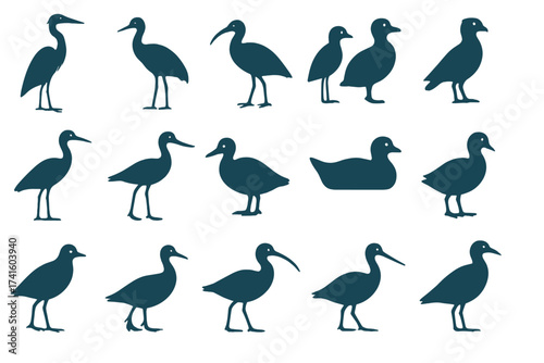 Silhouettes of various birds arranged in a grid pattern showcasing different species and postures in a simple design