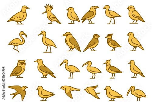 Various bird illustrations featuring different species in simple designs and warm yellow colors arranged in a grid format