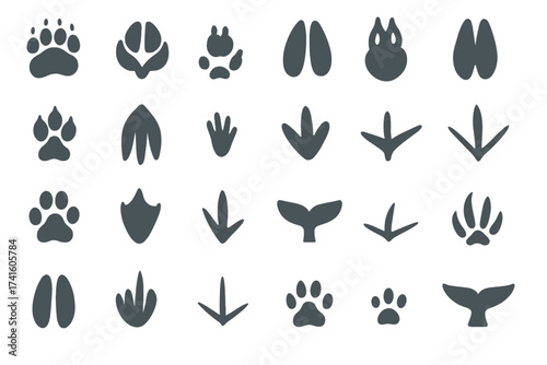 Variety of animal tracks displayed in a unique pattern on a white background