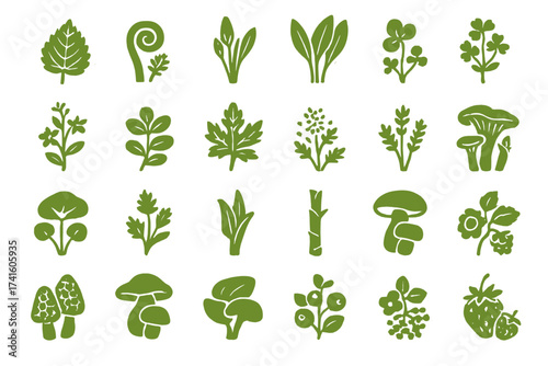 Various green plants, herbs, and mushrooms arranged in a neat pattern on a white background