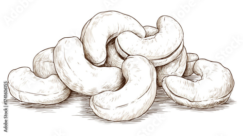 Delicious Cashews Nuts Vector Art Food Illustration for Culinary Design Projects