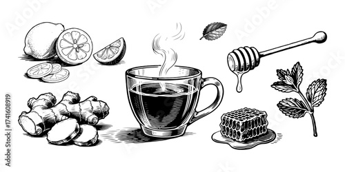 Hand-drawn sketch of herbal tea ingredients including lemon, ginger, mint, honey and hot tea cup on white background, concept of natural remedy