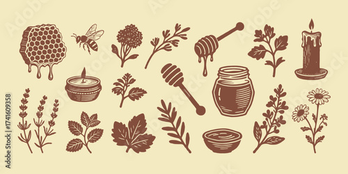 Hand-drawn rustic illustrations of herbs, flowers, honey, candles, and bee on beige background, concept of natural wellness and healing