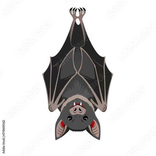 A cute cartoon bat hanging upside down with its wings spread wide.