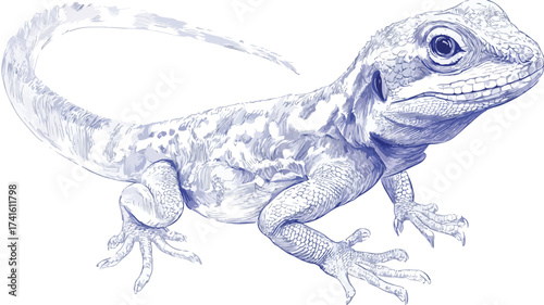 Lizard Vector for VR Experiences - Detailed Vector Illustration for Virtual Reality Applications
