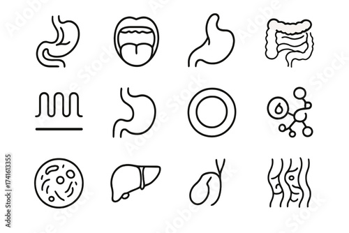 Digestive System Icons. Outline vector icons of the human digestive system: digestive tract, oral cavity,