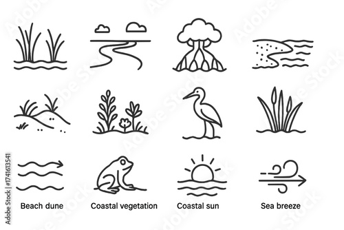Coastal Ecosystem Icons. Outline icon set of coastal ecosystems: salt marsh, estuary icon, mangrove roots,