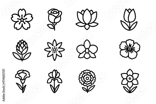 National Flower Icons. Outline icon set of national flowers: cherry blossom (Japan), rose (USA), lotus (India)