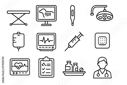 Animal Hospital Icons. Outline icon set of animal hospital facilities: vet table, X-ray, thermometer, surgery