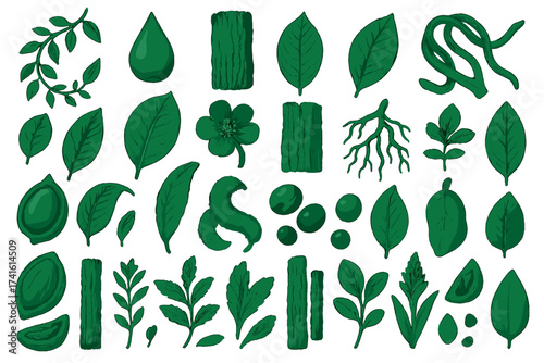 Collection of various green leaves, shapes, and textures ideal for nature-themed designs and crafts