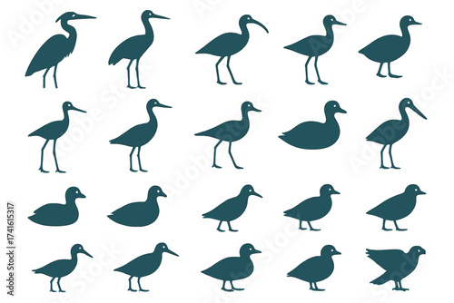 Silhouettes of various birds arranged in unique shapes and sizes on a white background