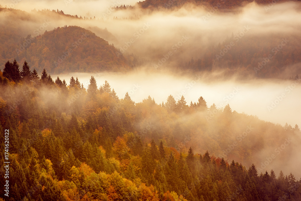 Fototapeta premium Misty autumn mountain landscape at sunrise in Slovenia