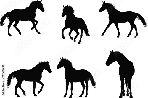 Horse silhouettes collection, trotting horse, walking horse, standing horse, rear view horse, farm animal vector, livestock design, equestrian artwork