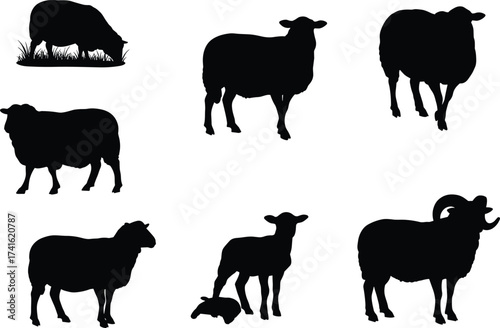 Sheep silhouettes set, grazing sheep, standing sheep, ram with horns, lamb illustration, farm animal vector, livestock design, countryside artwork